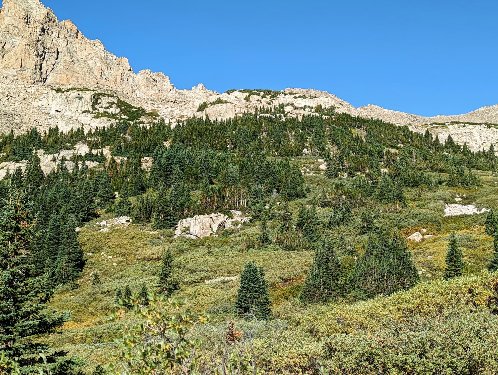 Rocky Colorado peaks above a valley of evergreen trees.